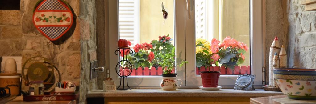 B&B Petra Trieszt Kültér fotó